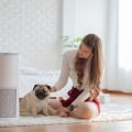 Tips for Choosing the Best 18x20x1 Air Filters for Maximum Home Air Quality