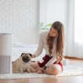 Optimize 20x30x1 Air Filter With Air Purifier in Your Dusty Home
