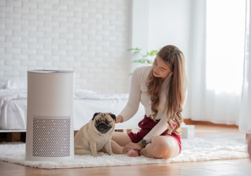 Optimize 20x30x1 Air Filter With Air Purifier in Your Dusty Home